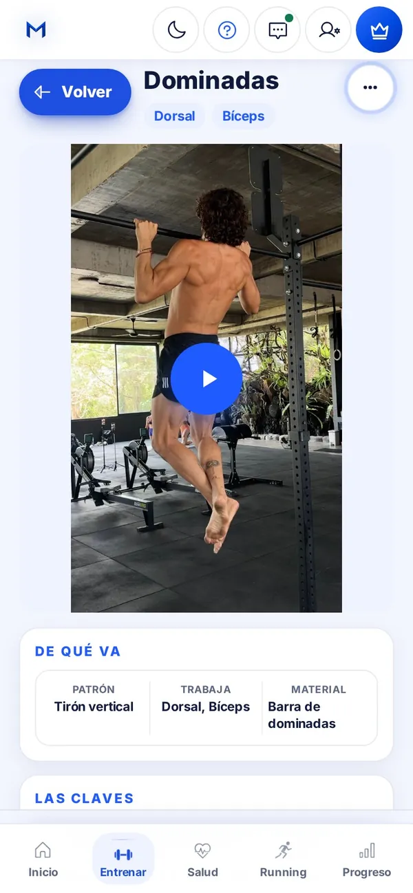 Ficha de Dominadas con el vídeo del ejercicio